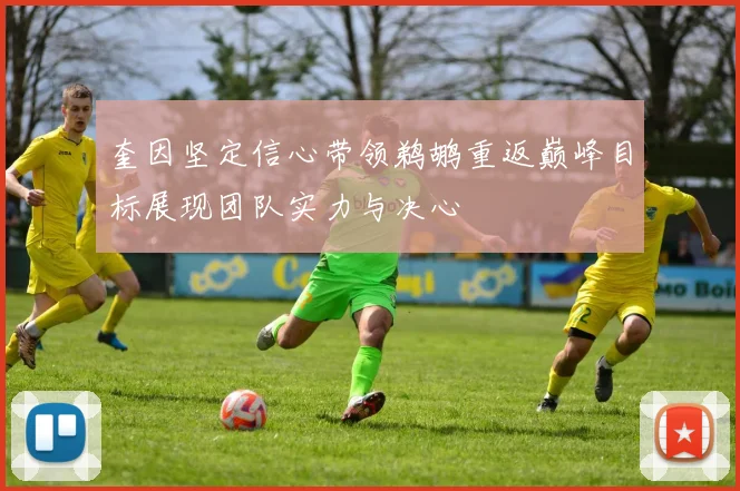 奎因坚定信心带领鹈鹕重返巅峰目标展现团队实力与决心