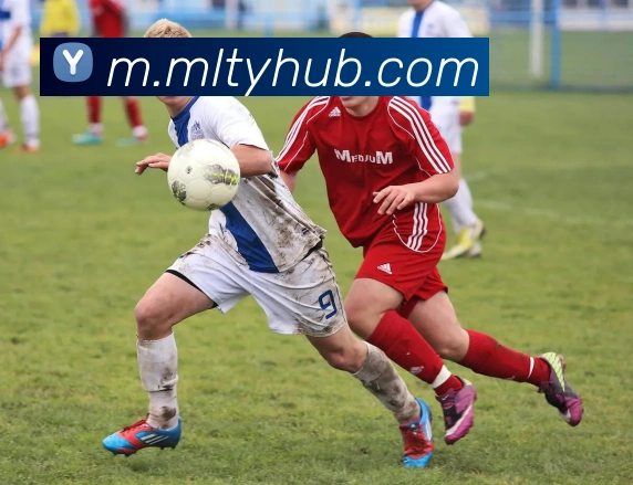 多媒体互动体验